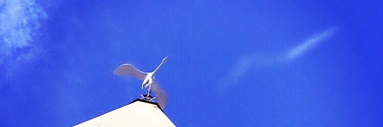 lorennbravo's profile banner image