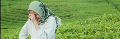 sellaMR's profile banner image