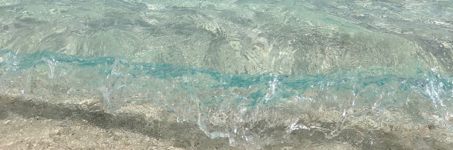 SarahHellmich's profile banner image