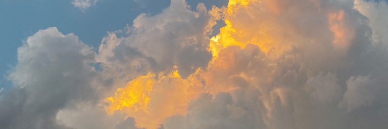 Joyceexoxo's profile banner image