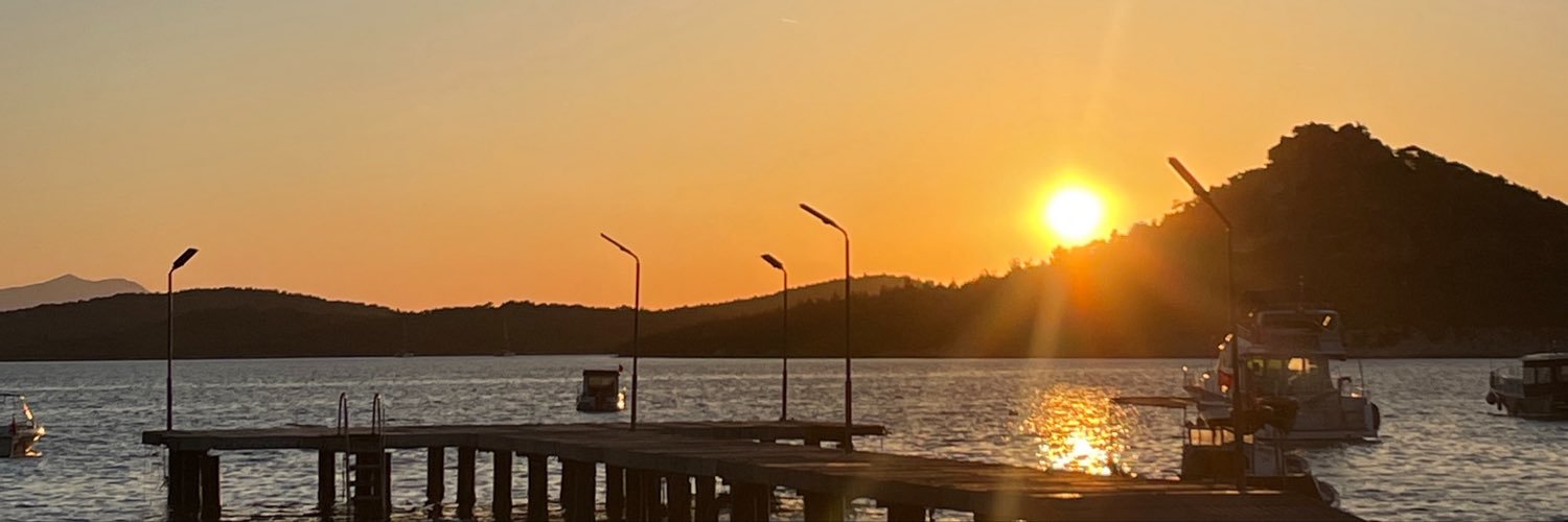 malignbug's profile banner image