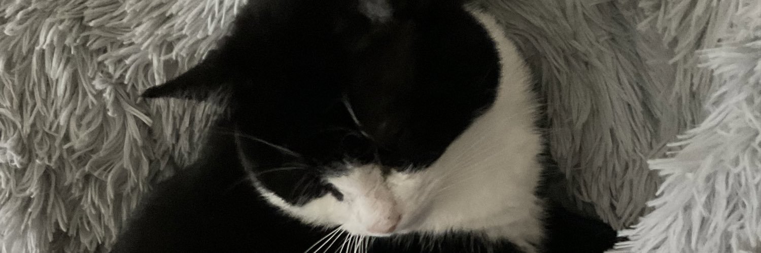 Tuxedosocks's profile banner image