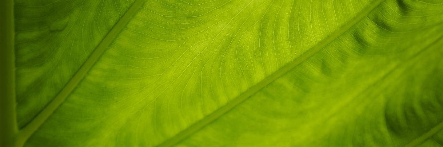 ?-? banner