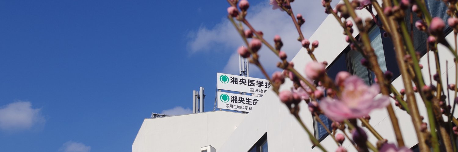 sho_oh's profile banner image