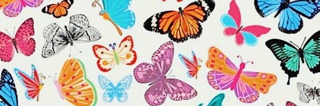deliakrueger's profile banner image