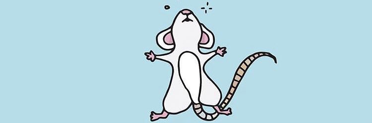 ivonchas's profile banner image