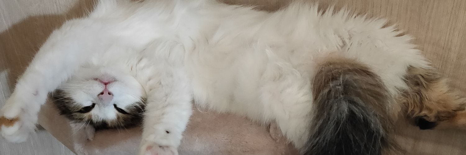 NariFight's profile banner image