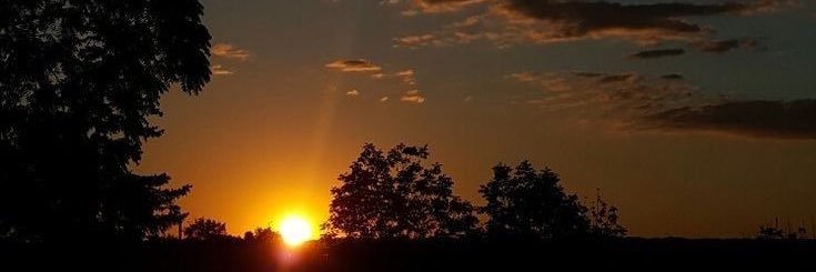 Makbule Del Aguila banner