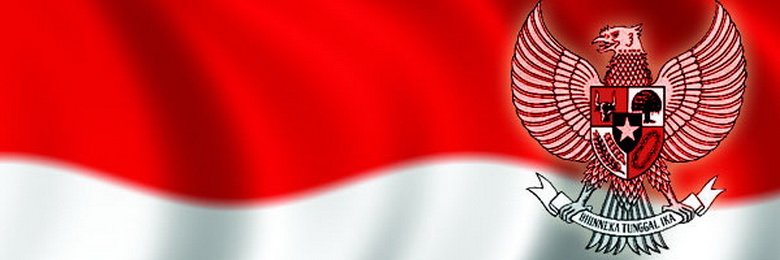 White.Netz banner