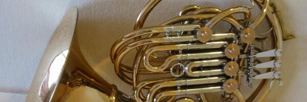 nonchipi Profile Banner
