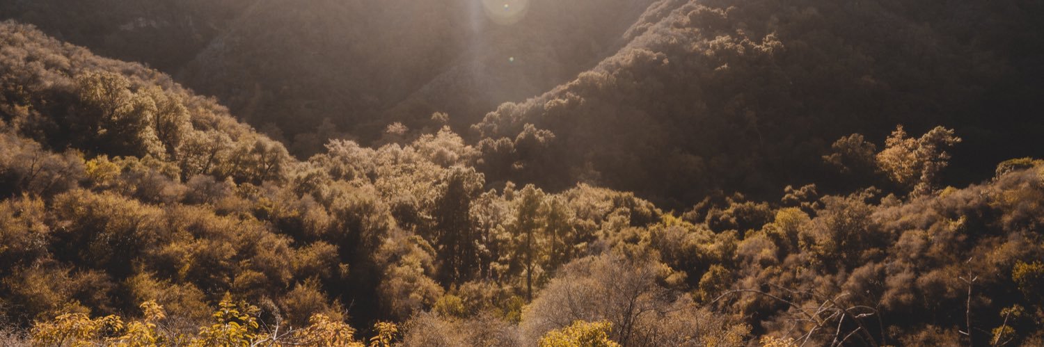 sedmccray's profile banner image