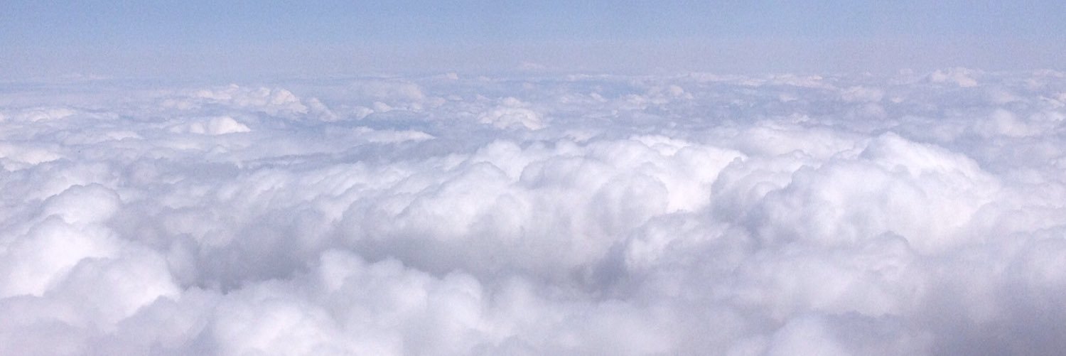 amberjohnnn's profile banner image
