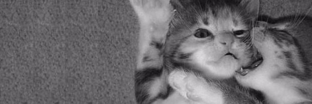 Ayşe Nida Barış banner