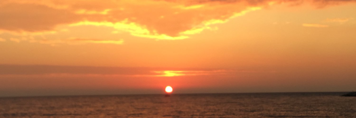 simoni_elisa's profile banner image