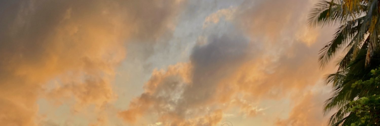 karelymc's profile banner image