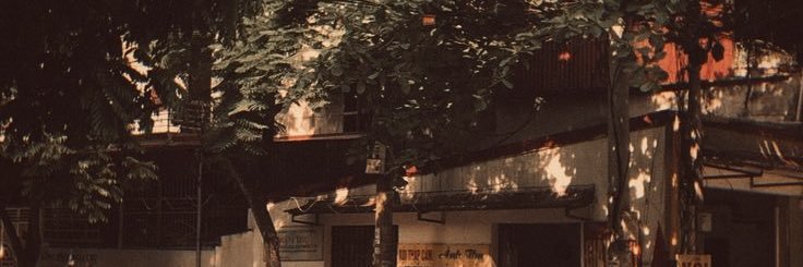 fbgmo's profile banner image