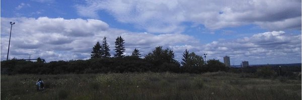 Friends of Carlington Woods Profile Banner