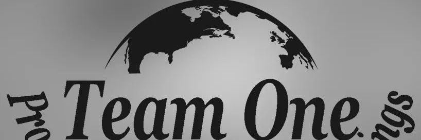 Team One banner