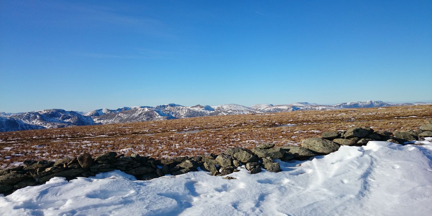 holmemoss's profile banner image