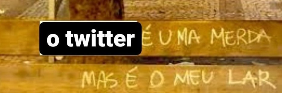 antônio pãozinho banner