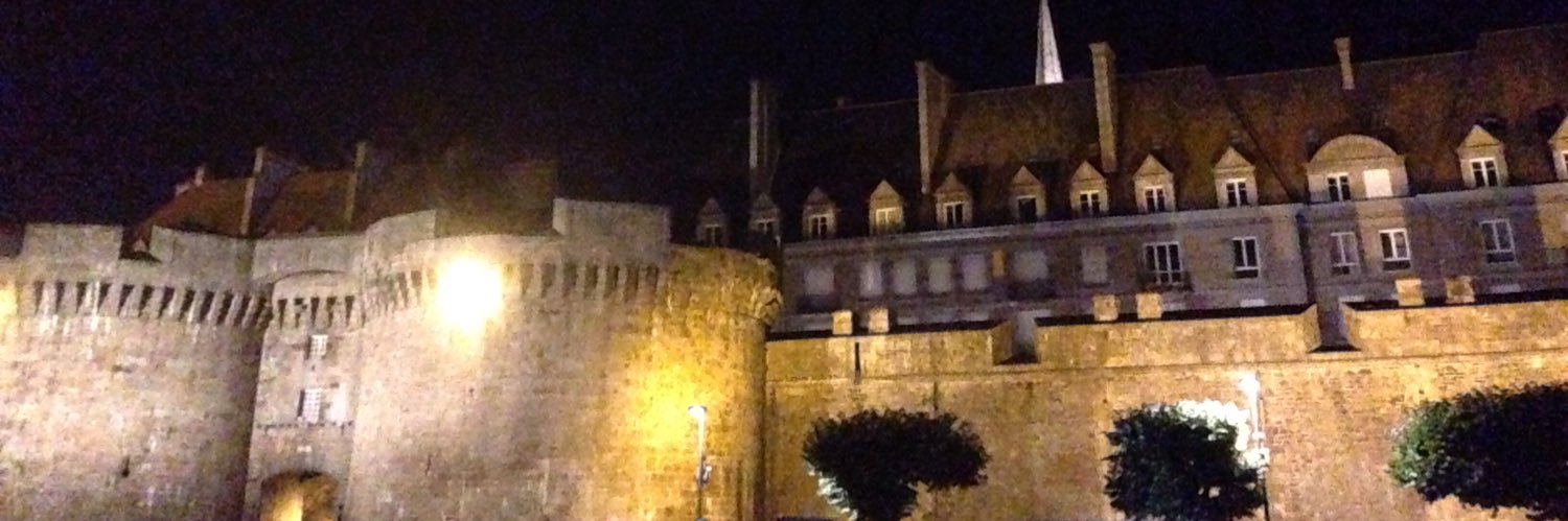 BOUVET Patrice banner