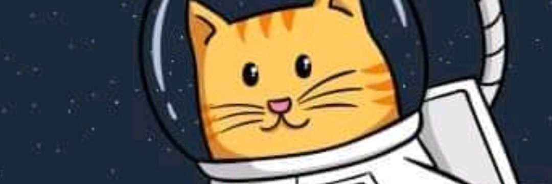 pildalt's profile banner image
