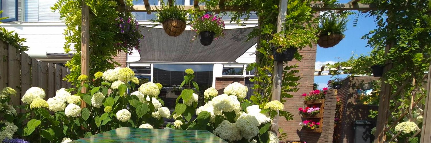 Cat🎗❤️ banner