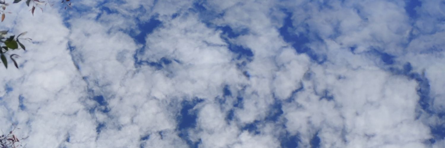 gat0chico's profile banner image