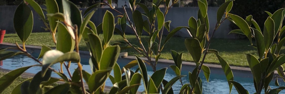 carboneill's profile banner image