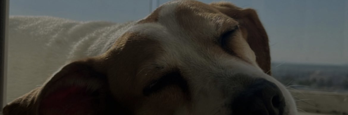 MarlaGarcia's profile banner image
