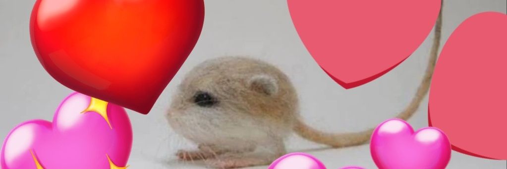 ilikepliers's profile banner image