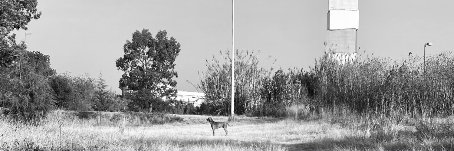 MHONTHEINTERNET's profile banner image