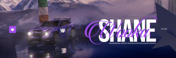 Shane__RL Profile Banner