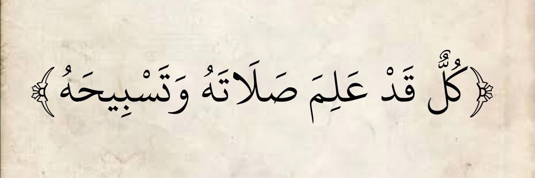 Umar_Shehur's profile banner image