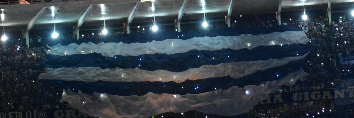 Zari banner