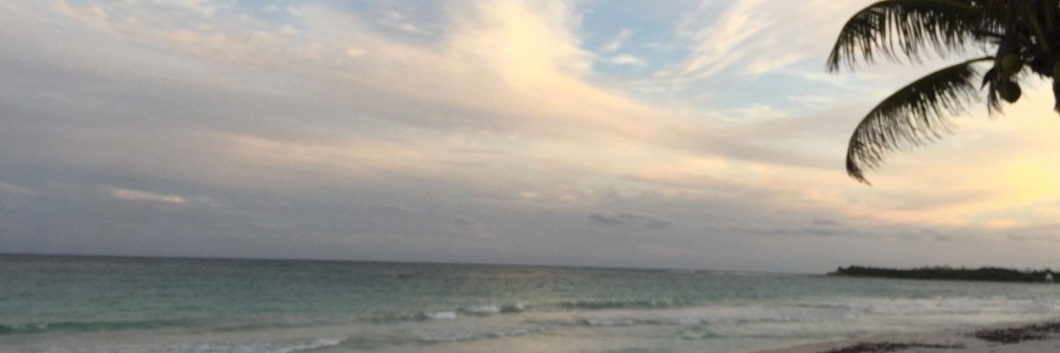 darianars's profile banner image