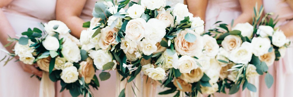 allisonsilber's profile banner image