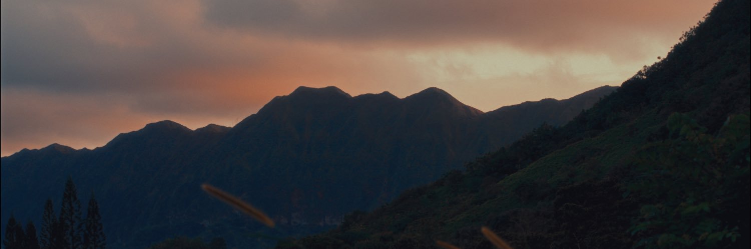 Reece O’Connor banner