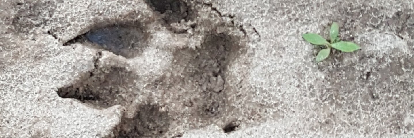 mec056's profile banner image