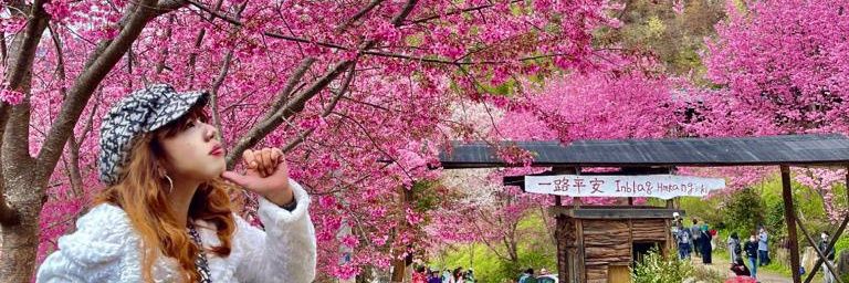 Lovly.chutiex banner