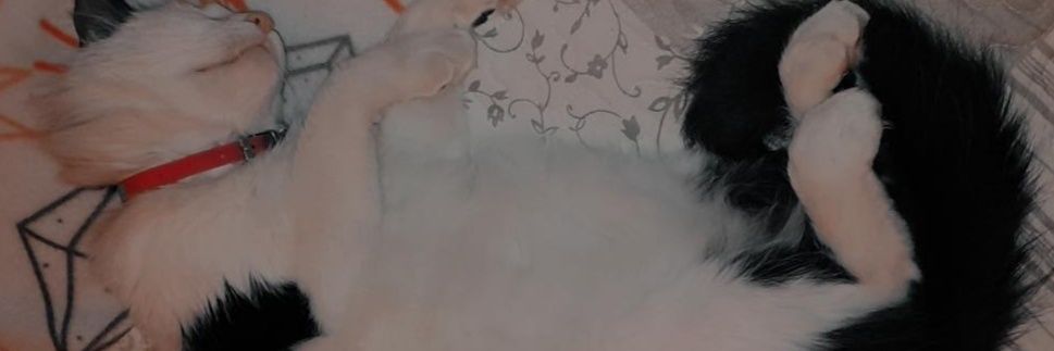 Lisa Sabaku 💜🖤🐾 banner