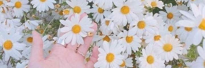 MAldarah's profile banner image