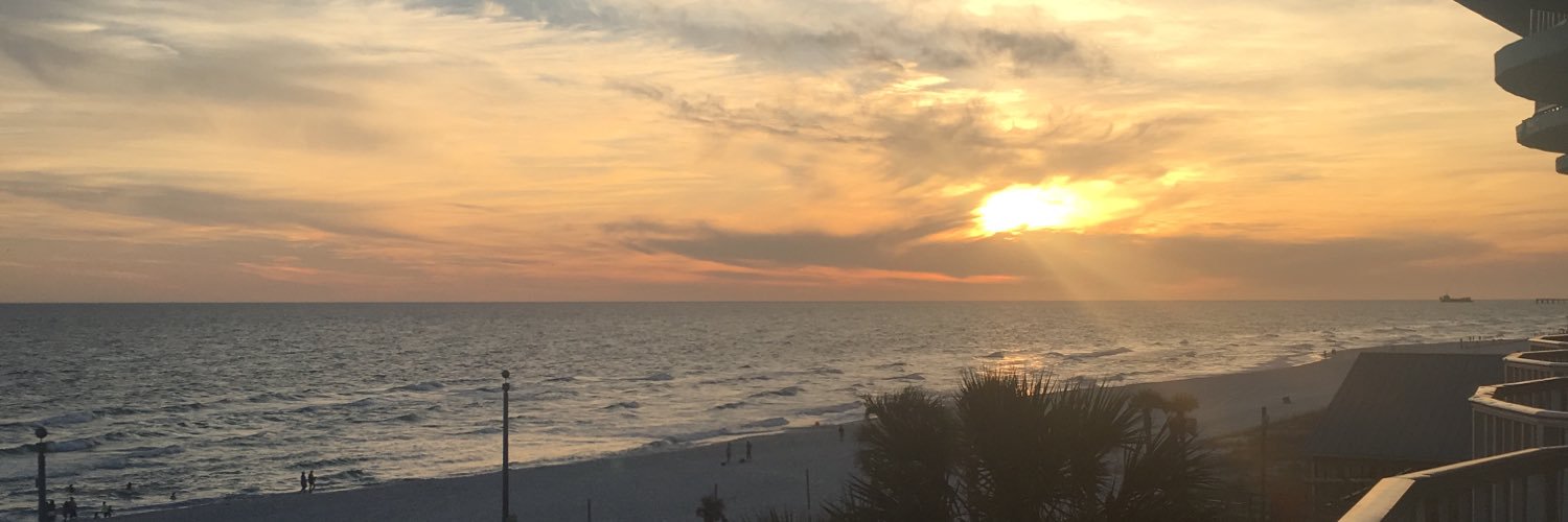 Krispy_Ann's profile banner image