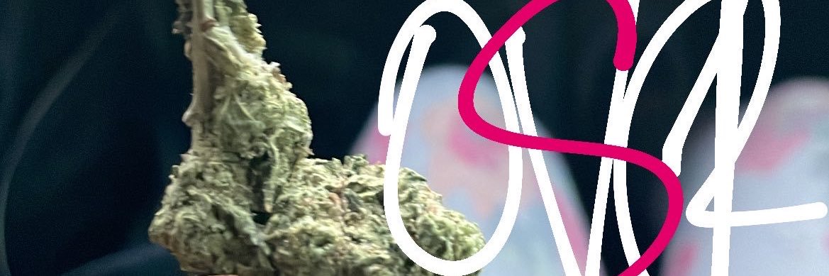 leilabeilaaa's profile banner image