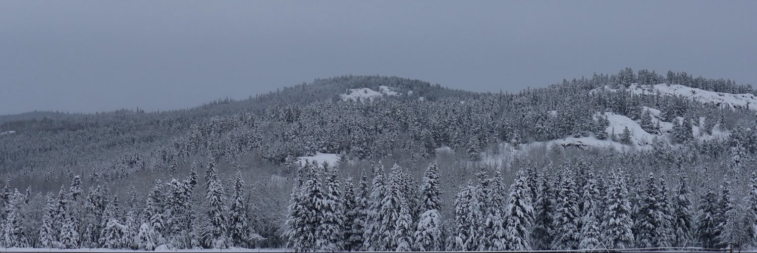 AnaLau_7's profile banner image
