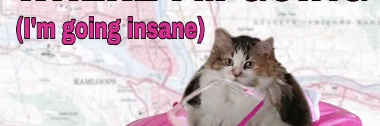 aelisbnd's profile banner image