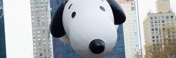 CharlieBrownLab Profile Banner