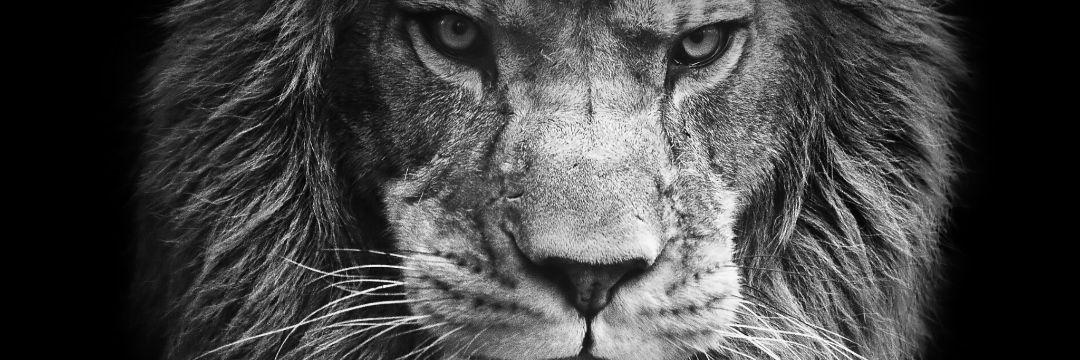 TUTEE5's profile banner image