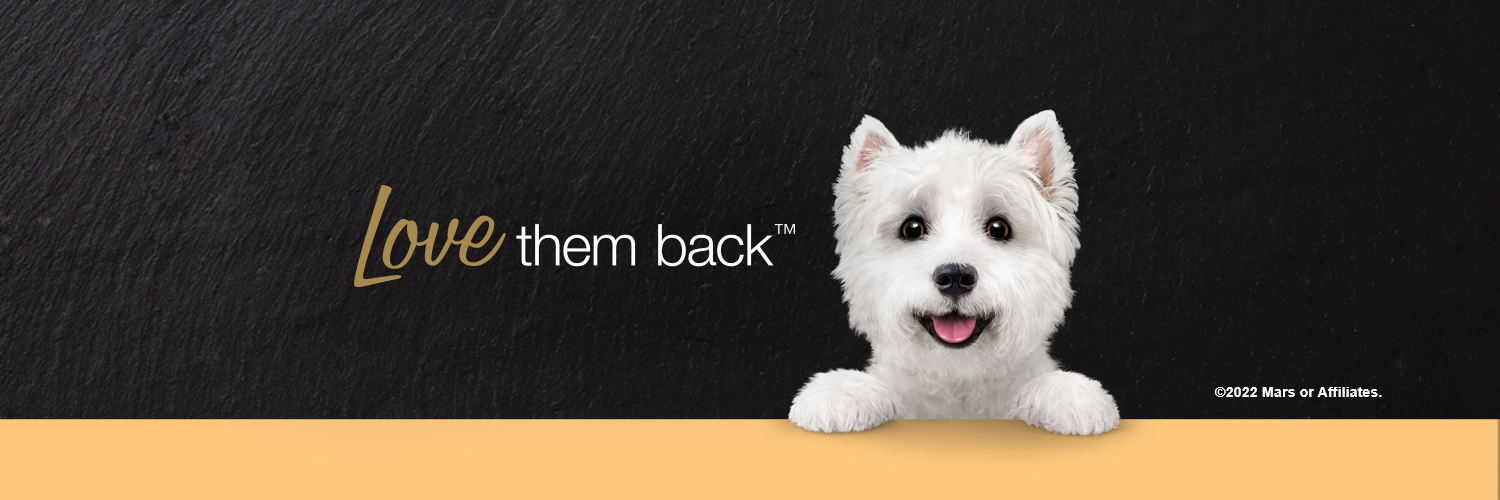 My Dog Australia banner