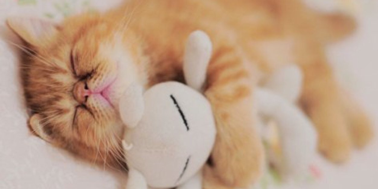 Amoy_26's profile banner image